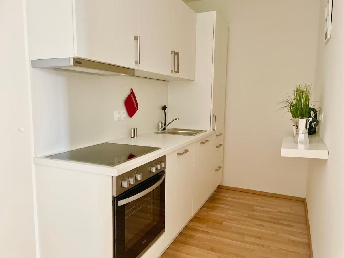 Central 55M2 Flat With Balcony & Parking 비엔나 외부 사진
